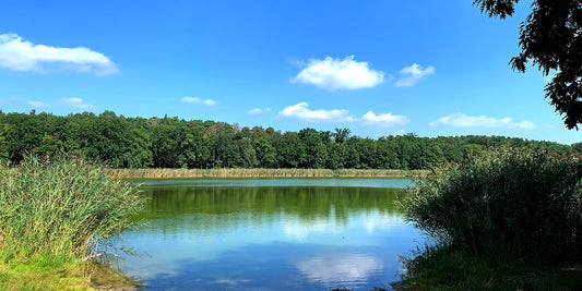 Tipps für Deinen gelungenen Badeausflug